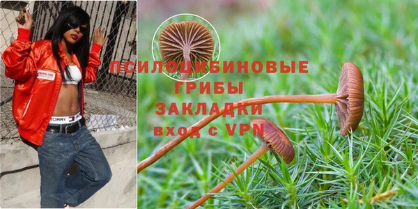амф Горняк