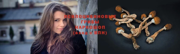 амф Горняк