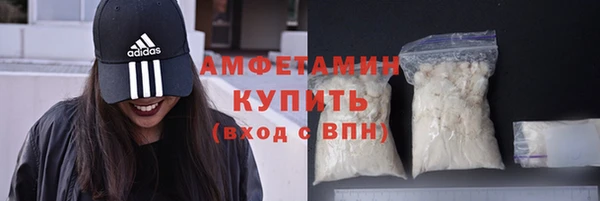 амф Горняк