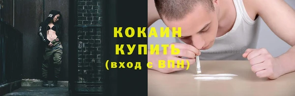 амф Горняк