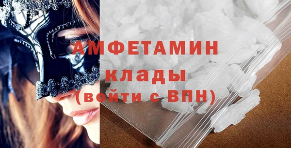 амф Горняк