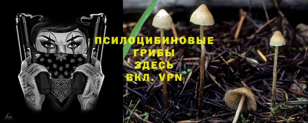 амф Горняк