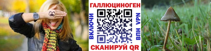 Псилоцибиновые грибы Magic Shrooms  Купить закладки  Шарья 